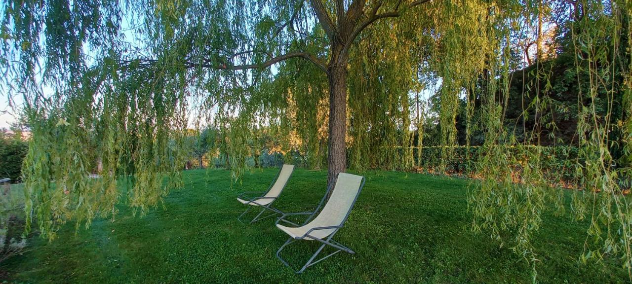Poggio Olivo Apartment Acquaviva  Екстериор снимка