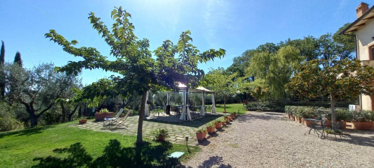 Poggio Olivo Apartment Acquaviva  Екстериор снимка
